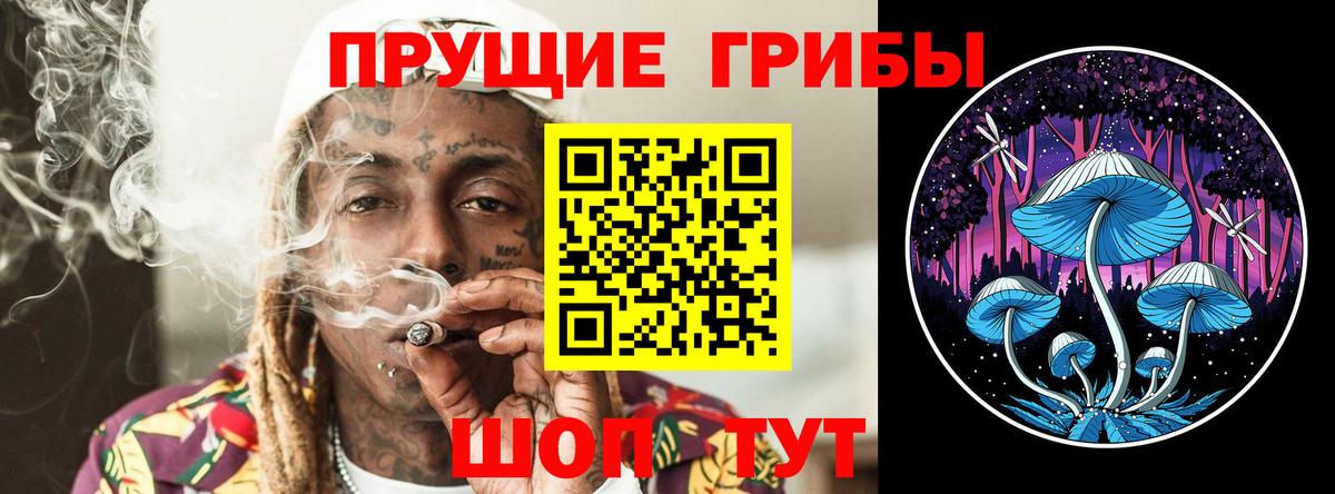 Галлюциногенные грибы мухоморы Канск