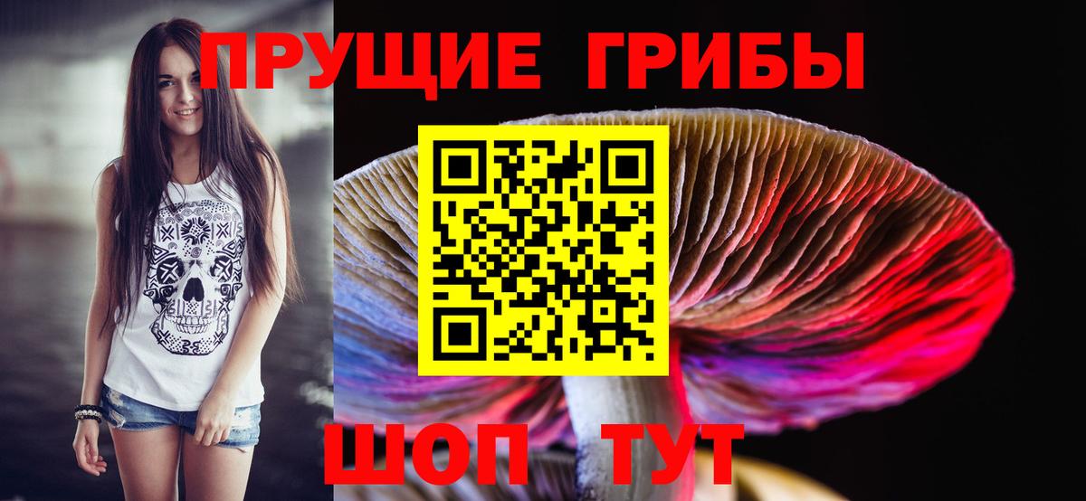 Псилоцибиновые грибы Cubensis  Галлюциногенные грибы мицелий  Канск  Вход с VPN 